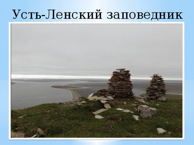 Усть-Ленский заповедник 