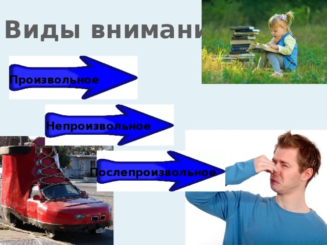 Виды внимания Произвольное Непроизвольное Послепроизвольное 