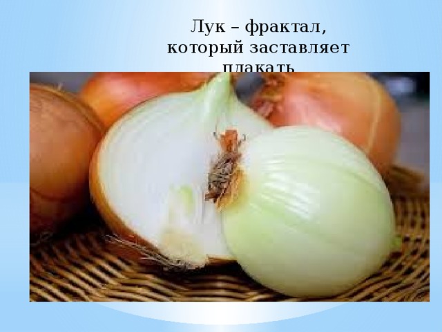 Лук – фрактал, который заставляет плакать 