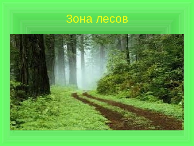 Зона лесов 