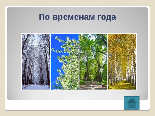 По временам года 