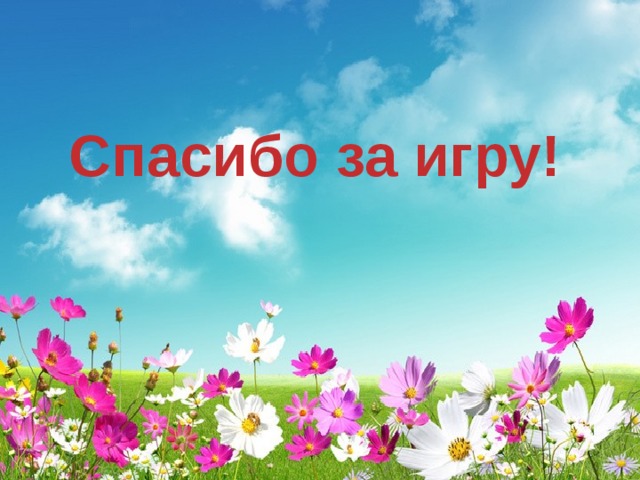 Спасибо за игру! 