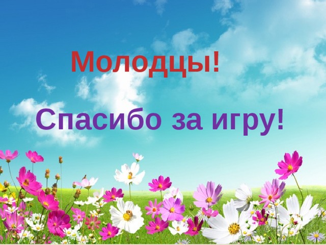 Молодцы! Спасибо за игру! 