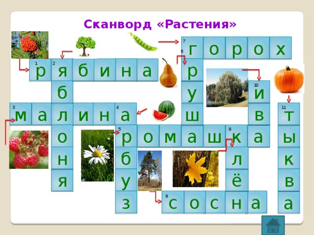 Сканворд «Растения» о р о г 7 х 6 р н р и б я 1 2 а и у б 10 в т 3 4 11 а м н а ш и л ы 8 5 р а а к ш м о о н б л к ё у в я з а н с о с 9 а 