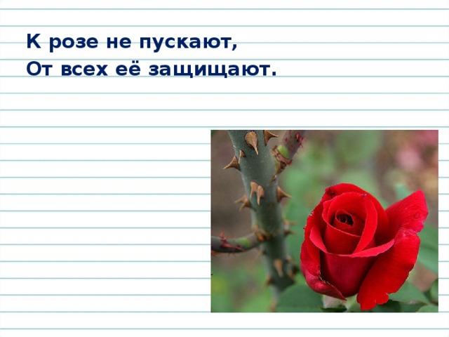 Отгадайте загадки, напишите отгадки По небу оравою Бегут мешки дырявые. И бывает иногда, Из мешков течёт вода. 
