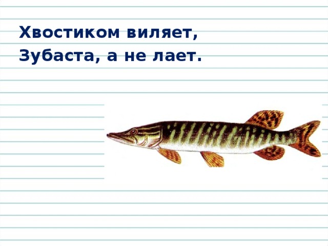 К розе не пускают, От всех её защищают. 