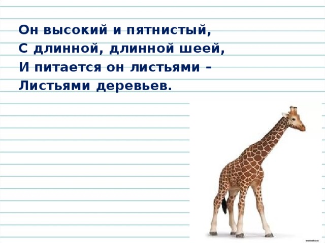 Хвостиком виляет, Зубаста, а не лает. 