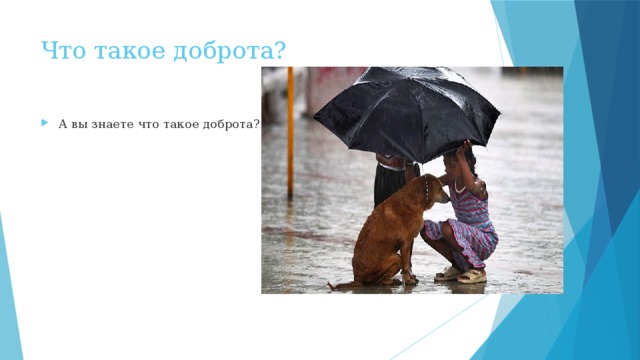 Что такое доброта? А вы знаете что такое доброта? 