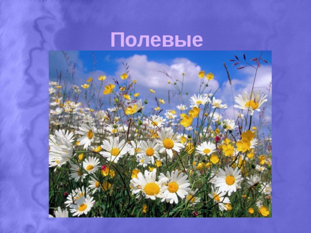 Полевые