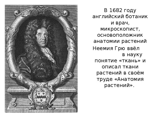 В 1682 году английский ботаник и врач, микроскопист, основоположник анатомии растений Неемия Грю ввёл в науку понятие «ткань» и описал ткани растений в своём труде «Анатомия растений».  