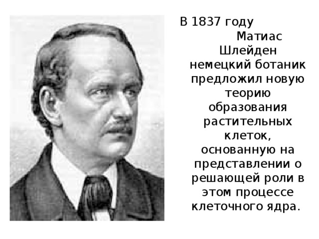 В 1837 году Матиас Шлейден немецкий ботаник предложил новую теорию образования растительных клеток, основанную на представлении о решающей роли в этом процессе клеточного ядра.  
