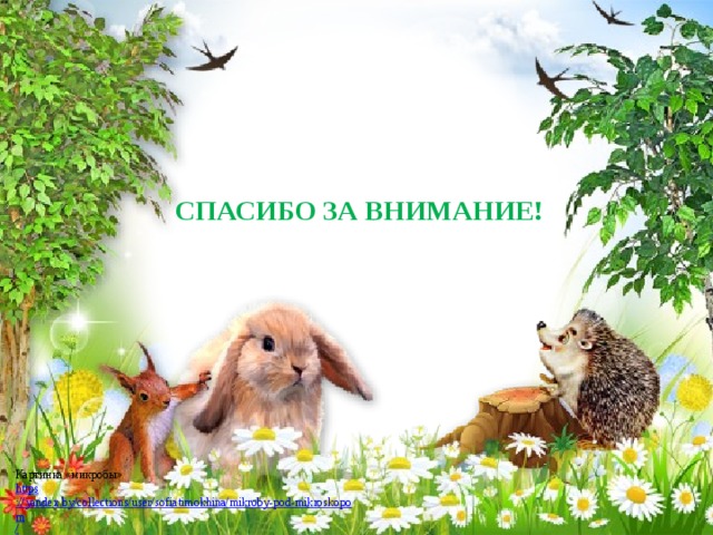 СПАСИБО ЗА ВНИМАНИЕ! Картинка «микробы» https ://yandex.by/collections/user/sofiatimokhina/mikroby-pod-mikroskopom / Рамки. https://yandex.ru/images/search? 