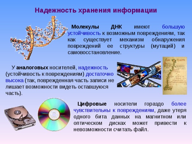 Надежность хранения информации Молекулы ДНК имеют большую  устойчивость к возможным повреждениям, так как существует механизм обнаружения повреждений ее структуры (мутаций) и самовосстановление. У аналоговых носителей, надежность (устойчивость к повреждениям) достаточно высока (так, поврежденная часть записи не лишает возможности видеть оставшуюся часть). Цифровые носители гораздо более чувствительны к повреждениям , даже утеря одного бита данных на магнитном или оптическом дисках может привести к невозможности считать файл. 