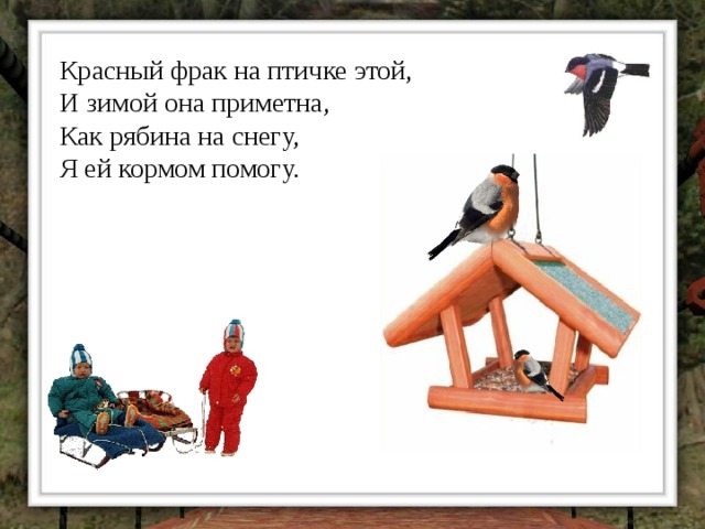 Красный фрак на птичке этой,  И зимой она приметна,  Как рябина на снегу,  Я ей кормом помогу. 