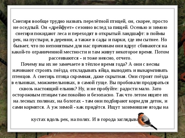 Снегиря вообще трудно назвать перелётной птицей, он, скорее, просто не оседлый. Он «дрейфует» сезонно вслед за пищей. Осенью и зимою снегири покидают леса и переходят в открытый ландшафт: в поймы рек, на пустыри, в деревни, а также в сады и парки, где им сытнее. Но бывает, что по непонятным для нас причинам они вдруг сбиваются на какой-то ограниченной местности и там живут некоторое время. Потом рассеиваются - и тоже неясно, отчего.  Почему вы их не замечаете в тёплое время года? А они с весны начинают строить гнёзда, откладывать яйца, выводить и выкармливать птенцов. А снегирь птица скромная, даже скрытная. Они строят гнёзда в ельниках, можжевельниках, в самой гуще. Вы пробовали продираться сквозь настоящий ельник? Ну, и не пробуйте: радости мало. Зато осторожным птицам там покойно и безопасно. Так что летом ищите их на лесных полянах, на болотах - там они подбирают корм для деток, и сами кормятся. А уж зимой - как придётся. Ищут зазимовшие ягоды на кустах вдоль рек, на полях. И в города заглядывают.  