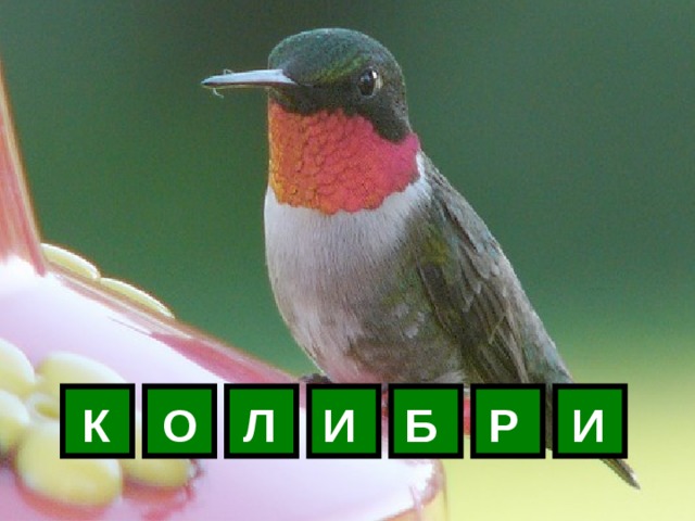 К О Л И Б Р И 