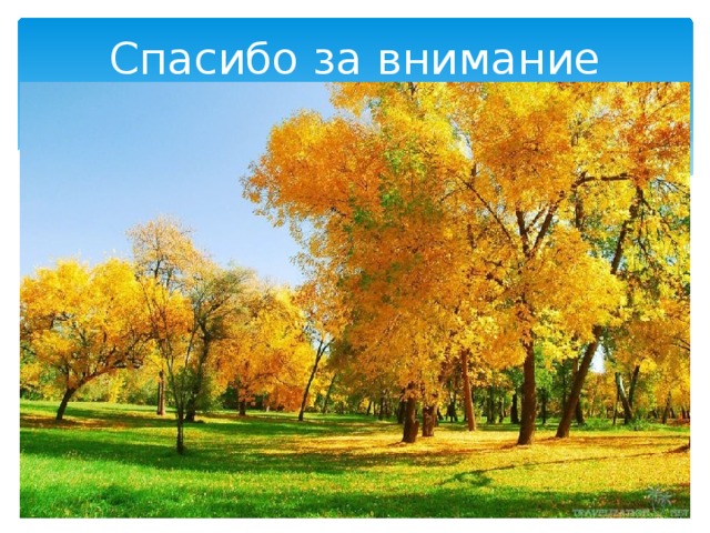 Спасибо за внимание 