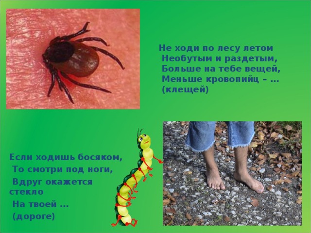 Не ходи по лесу летом  Необутым и раздетым,  Больше на тебе вещей,  Меньше кровопийц – …  (клещей)  Если ходишь босяком,  То смотри под ноги,  Вдруг окажется стекло  На твоей …  (дороге)   