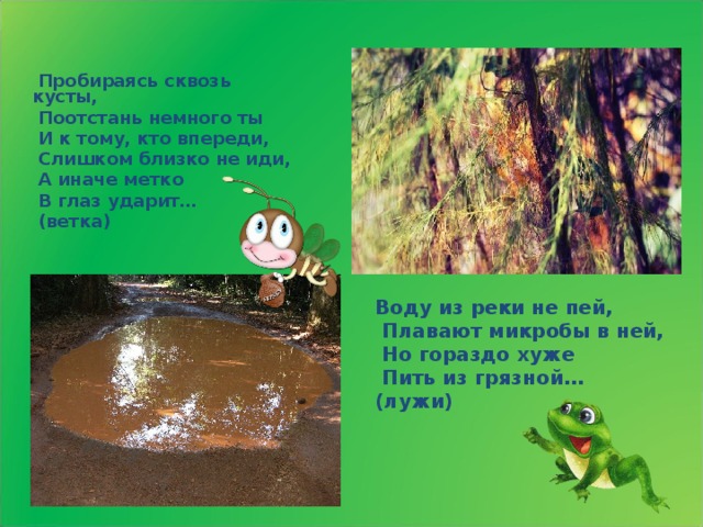  Пробираясь сквозь кусты,  Поотстань немного ты  И к тому, кто впереди,  Слишком близко не иди,  А иначе метко  В глаз ударит…  (ветка)  Воду из реки не пей,  Плавают микробы в ней,  Но гораздо хуже  Пить из грязной… (лужи) 
