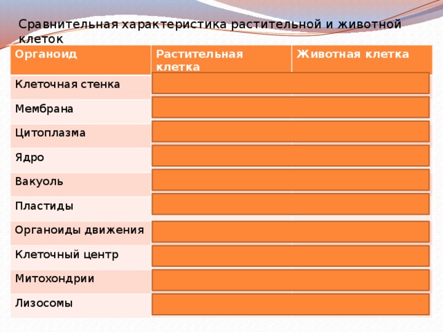 Сравнительная характеристика растительной и животной клеток Органоид Клеточная стенка Растительная клетка Животная клетка + Мембрана + Цитоплазма + + Ядро Вакуоль + + + + Пластиды + Органоиды движения Клеточный центр + Митохондрии + Лизосомы + + + 