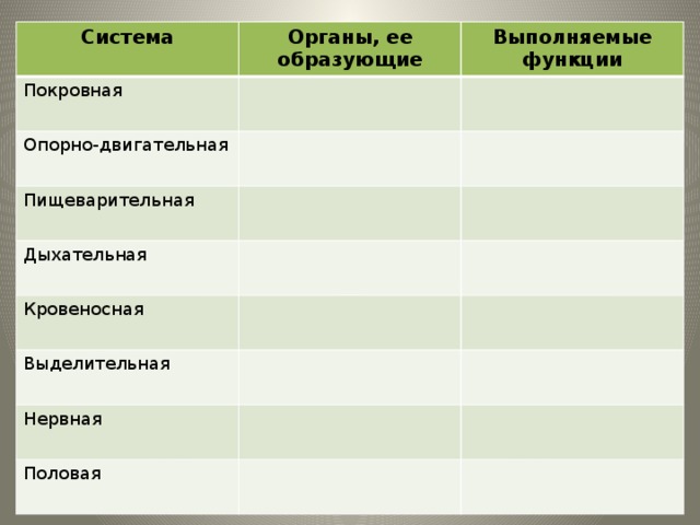 Система Органы, ее образующие Покровная Опорно-двигательная Выполняемые функции Пищеварительная Дыхательная Кровеносная Выделительная Нервная Половая 