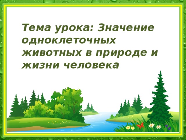 Тема урока: Значение одноклеточных животных в природе и жизни человека 