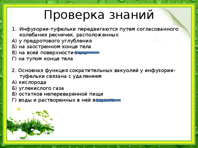 Проверка знаний Инфузории-туфельки передвигаются путем согласованного колебания ресничек, расположенных А) у предротового углубления Б) на заостренном конце тела В) на всей поверхности тела Г) на тупом конце тела 2. Основная функция сократительных вакуолей у инфузории-туфельки связана с удалением А) кислорода Б) углекислого газа В) остатков непереваренной пищи Г) воды и растворенных в ней веществ 