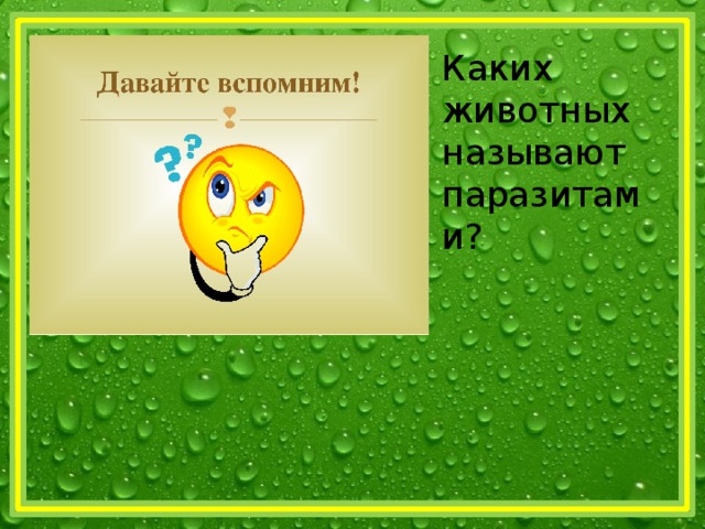 Каких животных называют паразитами? 