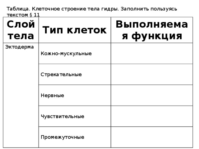 Таблица. Клеточное строение тела гидры. Заполнить пользуясь текстом § 11 Слой тела Тип клеток Эктодерма Выполняемая функция Кожно-мускульные Стрекательные Нервные Чувствительные Промежуточные