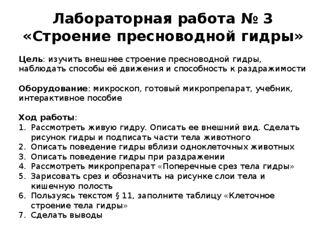 Лабораторная работа № 3 «Строение пресноводной гидры» Цель : изучить внешнее строение пресноводной гидры, наблюдать способы её движения и способность к раздражимости Оборудование : микроскоп, готовый микропрепарат, учебник, интерактивное пособие Ход работы :