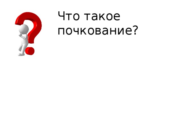 Что такое почкование? 