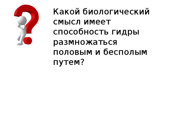 Какой биологический смысл имеет способность гидры размножаться половым и бесполым путем? 