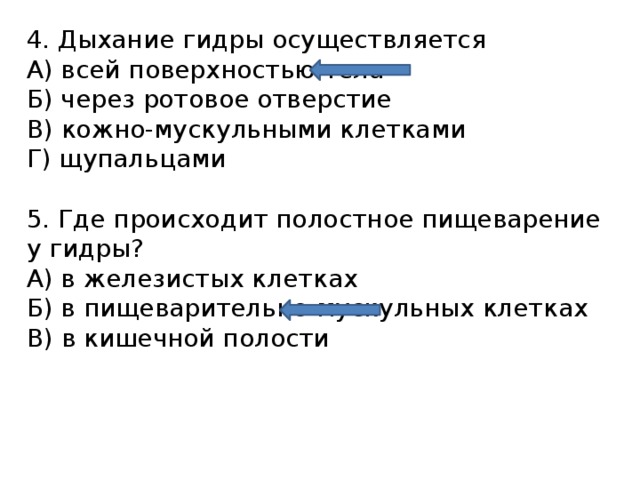 4. Дыхание гидры осуществляется А) всей поверхностью тела Б) через ротовое отверстие В) кожно-мускульными клетками Г) щупальцами 5. Где происходит полостное пищеварение у гидры? А) в железистых клетках Б) в пищеварительно-мускульных клетках В) в кишечной полости 