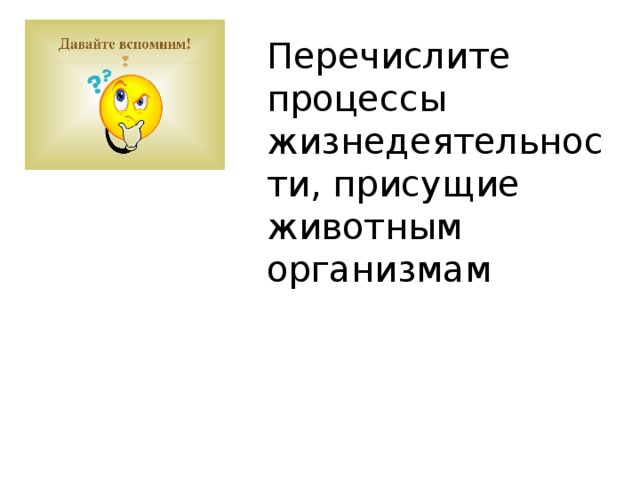 Перечислите процессы жизнедеятельности, присущие животным организмам 