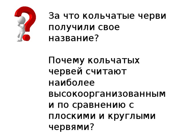 За что кольчатые черви получили свое название? Почему кольчатых червей считают наиболее высокоорганизованными по сравнению с плоскими и круглыми червями?