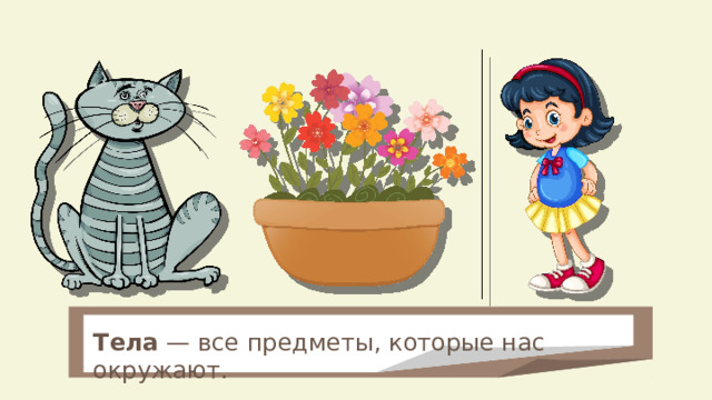 Тела — все предметы, которые нас окружают. 