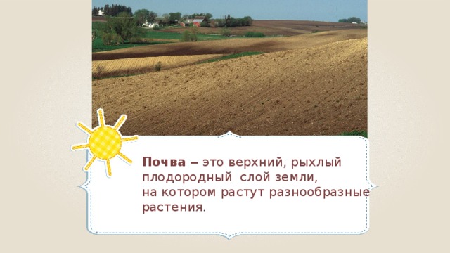 Почва  ‒ это верхний, рыхлый плодородный слой земли, на котором растут разнообразные растения. 