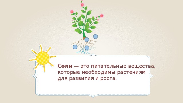 Соли  — это питательные вещества, которые необходимы растениям для развития и роста. 
