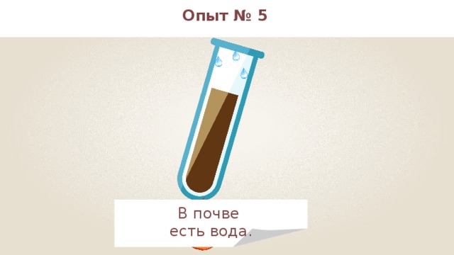 Опыт № 5 В почве есть вода. 