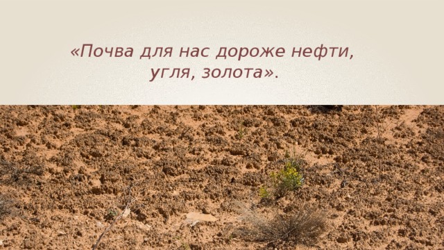 «Почва для нас дороже нефти, угля, золота». 