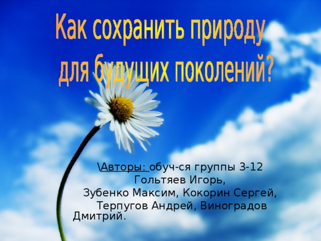 \ Авторы: обуч-ся группы 3-12 Гольтяев Игорь, Зубенко Максим, Кокорин Сергей, Терпугов Андрей, Виноградов Дмитрий.  