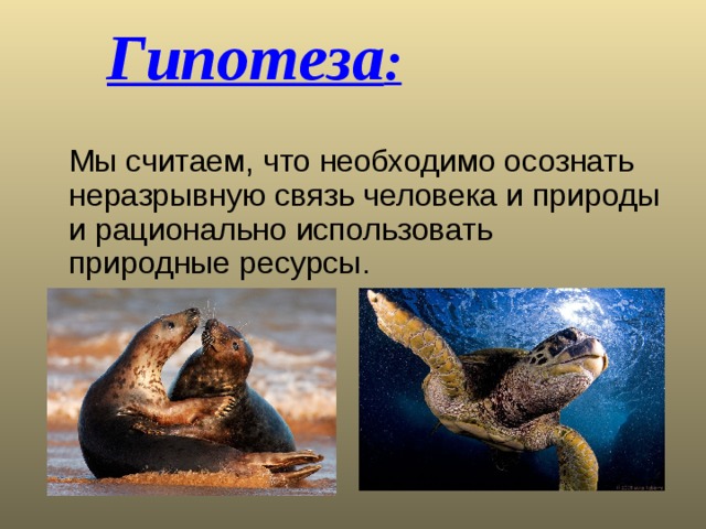 Гипотеза :  Мы считаем, что необходимо осознать неразрывную связь человека и природы и рационально использовать природные ресурсы. 