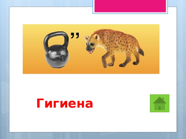 Гигиена 