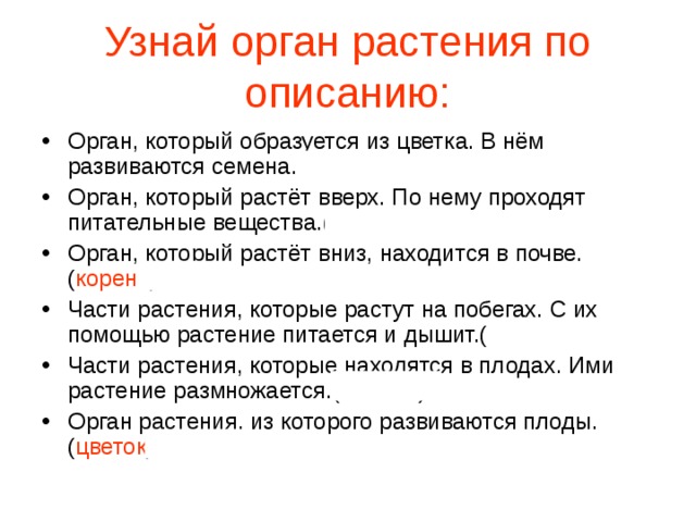 Узнай орган растения по описанию: Орган, который образуется из цветка. В нём развиваются семена. ( плод ) Орган, который растёт вверх. По нему проходят питательные вещества.( стебель ) Орган, который растёт вниз, находится в почве.( корень )  Части растения, которые растут на побегах. С их помощью растение питается и дышит.( листья ) Части растения, которые находятся в плодах. Ими растение размножается.( семена ) Орган растения, из которого развиваются плоды.( цветок ) 