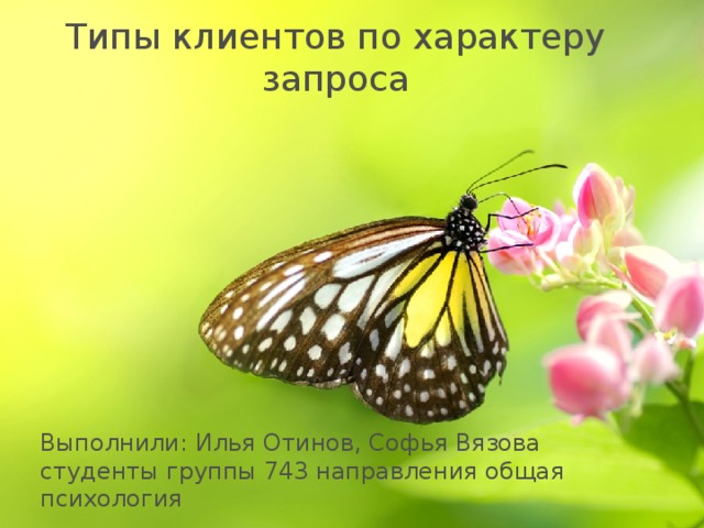 Типы клиентов по характеру запроса Выполнили: Илья Отинов, Софья Вязова студенты группы 743 направления общая психология  