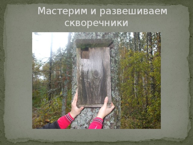  Мастерим и развешиваем скворечники 