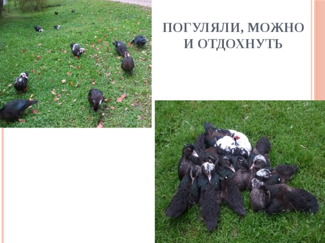 Погуляли, можно и отдохнуть 