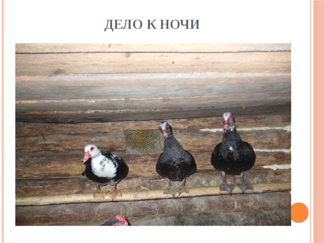 Дело к ночи 