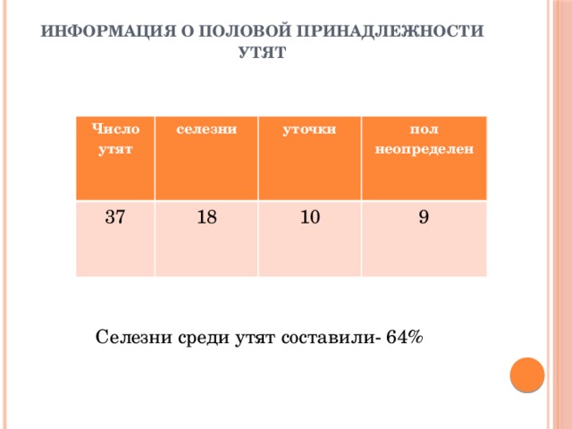 Информация о половой принадлежности утят   Селезни среди утят составили- 64% Число утят селезни 37 18 уточки пол неопределен 10 9 