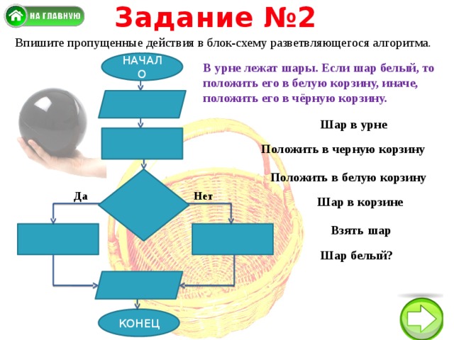 Задание №2 Впишите пропущенные действия в блок-схему разветвляющегося алгоритма. НАЧАЛО В урне лежат шары. Если шар белый, то положить его в белую корзину, иначе, положить его в чёрную корзину. Шар в урне Положить в черную корзину Положить в белую корзину Да Нет Шар в корзине Взять шар Шар белый? КОНЕЦ 